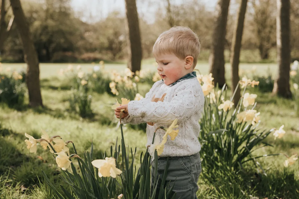 A young child with short blonde hair stands in a field of blooming yellow daffodils, capturing the essence of Easter. The child wears a light-colored sweater and green pants, focused on gently touching a flower. Trees and greenery fill the background under a clear sky. © Aimee Lince Photography - Wedding photographer in Lincolnshire, Yorkshire & Nottinghamshire