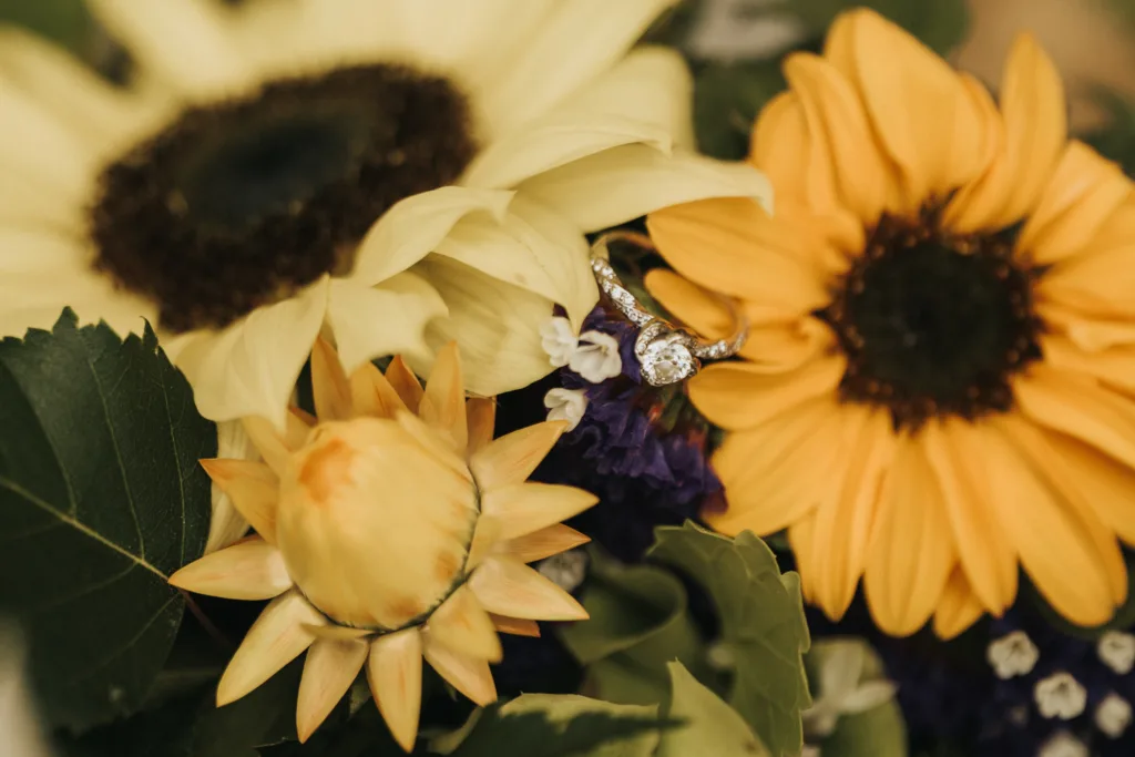 A grey rectangle with white text in the centre that reads "Landscape Placeholder 3:2," indicating the image is a placeholder for landscape-oriented content. © Aimee Lince Photography, Wedding photographer in Lincolnshire
